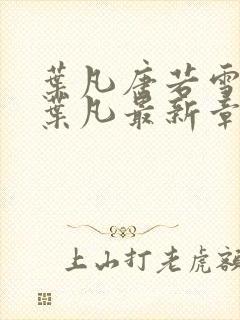 叶凡唐若雪王婿叶凡最新章节