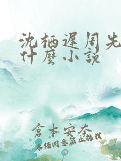 沈栖迟周先予是什么小说