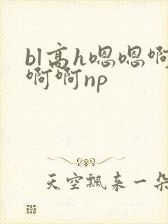 bl高h嗯嗯啊啊啊np