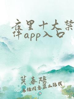 夜里十大禁用软件app入口