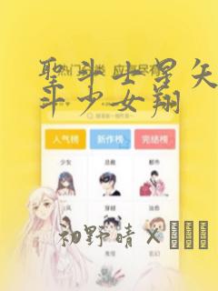圣斗士星矢 圣斗少女翔：结局+番外