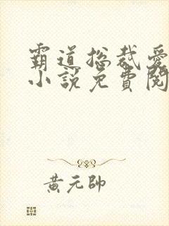 霸道总裁爱上我小说免费阅读