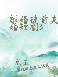 离婚后前夫求复婚短剧3