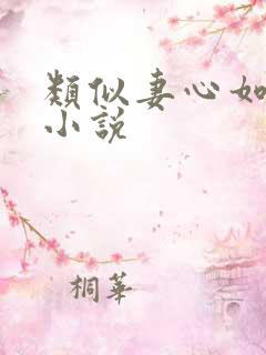 类似妻心如针的小说