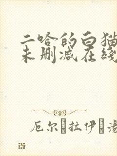 二哈的白猫师尊未删减在线阅读免费