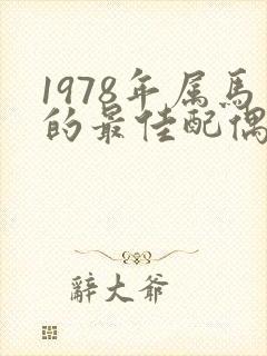 1978年属马的最佳配偶属相