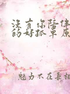 没有你陪伴我真的好孤单原唱梦然