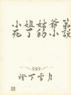 小姐姑爷第二年死了的小说叫什么