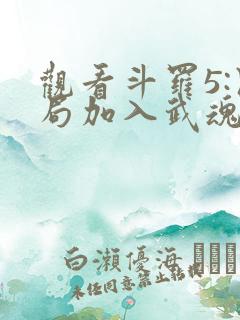 观看斗罗5:开局加入武魂殿小说