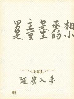 男主是丞相女主是重生的小说