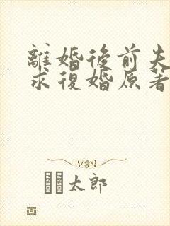 离婚后前夫哭着求复婚原著