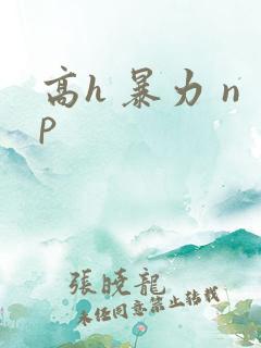 高h 暴力 np