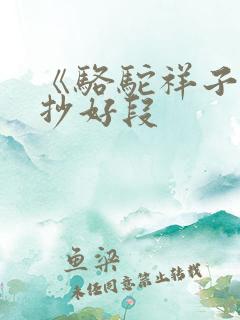 《骆驼祥子》摘抄好段