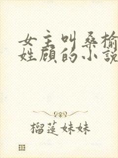 女主叫桑榆男主姓顾的小说