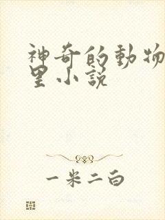 神奇的动物在哪里小说