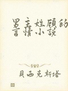 男主姓顾的现代言情小说