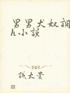 男男犬奴调教高h小说