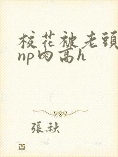 校花被老头强迫np肉高h