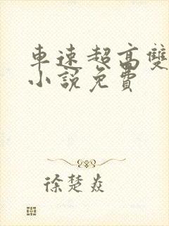 车速超高双男主小说免费