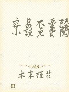 容易不爱陆铭的小说免费阅读