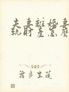 夫妻离婚妻子出轨财产怎么分割