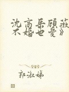 沈商岳顾薇茵《不婚也爱》免费阅读