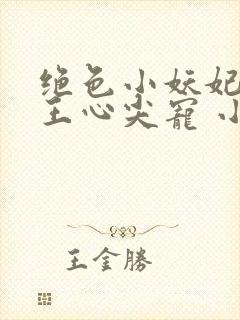 绝色小妖妃:兽王心尖宠 小说