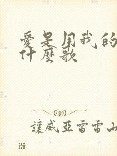 爱是用我的心是什么歌