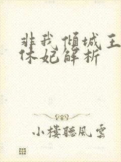 非我倾城王爷要休妃解析