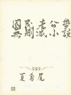 国民老公带回家无删减小说