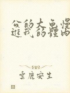 公的大龟慢慢挺进我的体内