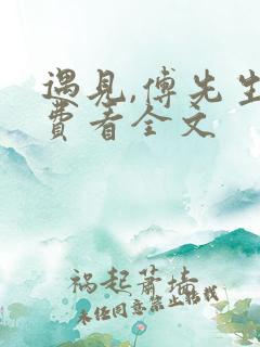 遇见,傅先生免费看全文