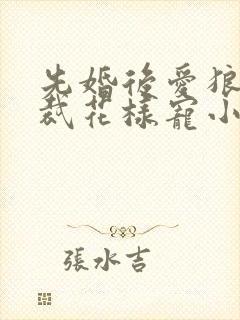 先婚后爱狼性总裁花样宠小说