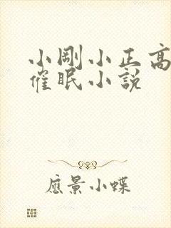 小刚小正高筱柔催眠小说