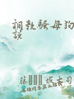 调教骚母狗 小说