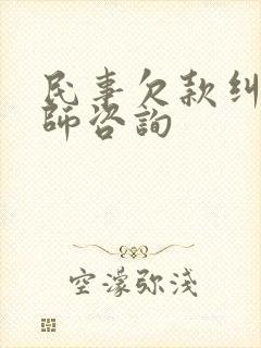 民事欠款纠纷律师咨询