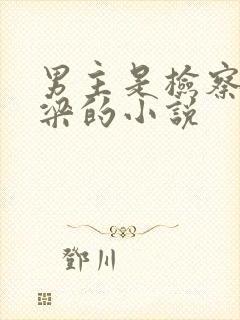 男主是检察官姓梁的小说