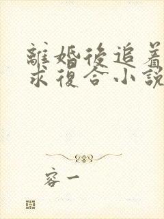 离婚后追着前夫求复合小说