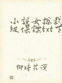 小说女总裁的神级保镖txt下载