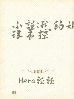 小说:我的姐姐很弟控