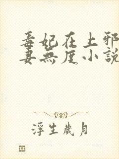 毒妃在上邪王宠妻无度小说