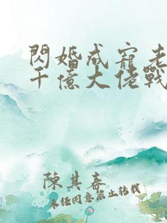 闪婚成宠老公是千亿大佬战胤海