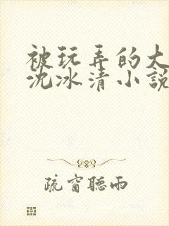 被玩弄的大小姐沈冰清小说