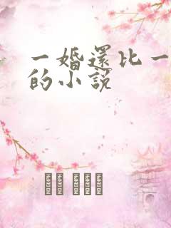 一婚还比一婚高的小说