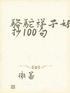 骆驼祥子好句摘抄100句