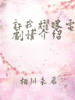 许我耀眼电视剧剧情介绍