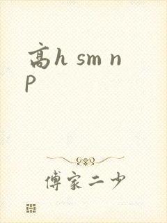 高h sm np