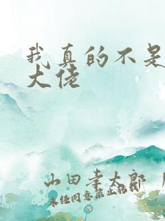 我真的不是反派大佬