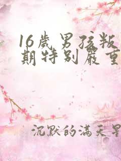 16岁男孩叛逆期特别严重怎么办还打父母