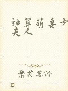 神算萌妻少将军夫人